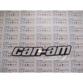 CAN-AM DECAL